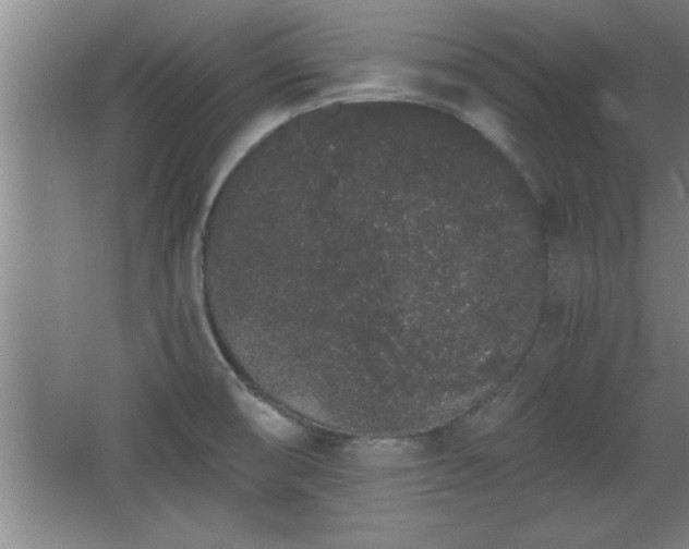 X0000068261474200604281513