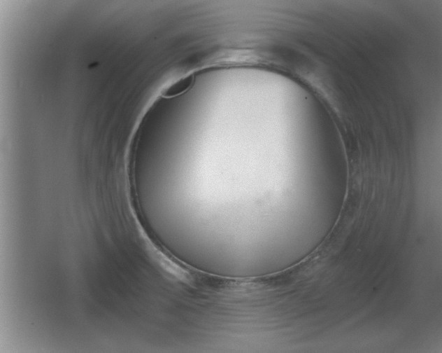 X0000068261475200604281513