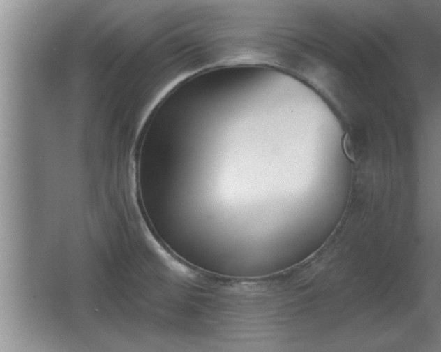 X0000068261476200604281513