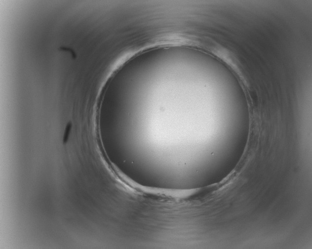 X0000068261477200604281513