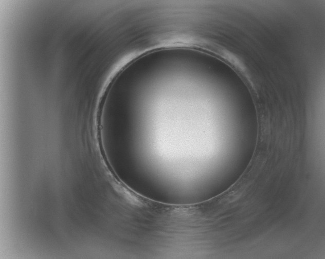 X0000068261480200604281513