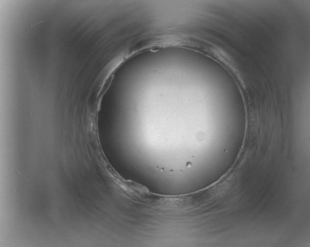 X0000068261481200604281512