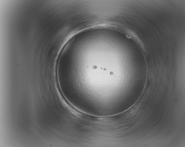 X0000068261483200604281512