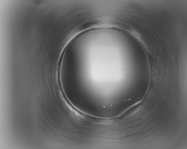 X0000068261484200604281512