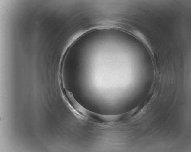 X0000068261485200604281512