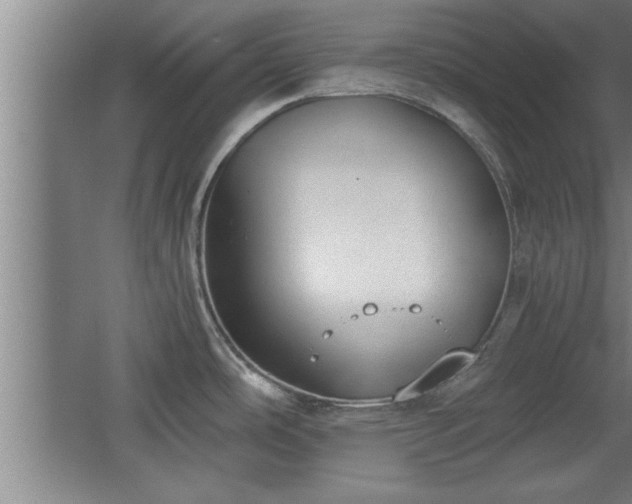 X0000068261486200604281512