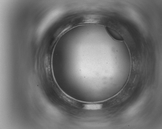 X0000068261487200604281512