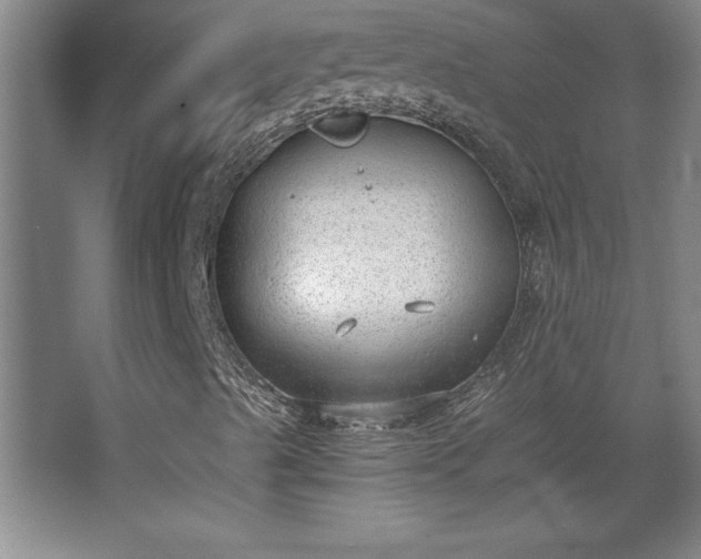 X0000068261489200604281512