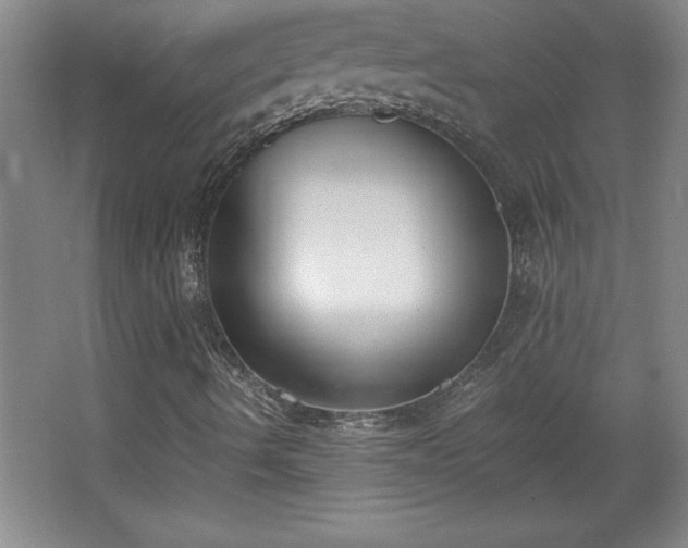 X0000068261490200604281512