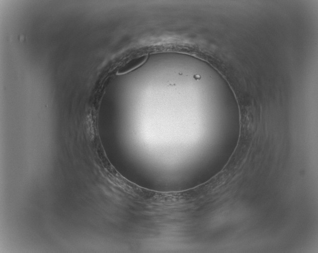 X0000068261493200604281512