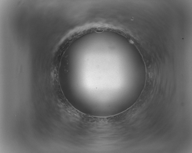 X0000068261495200604281512