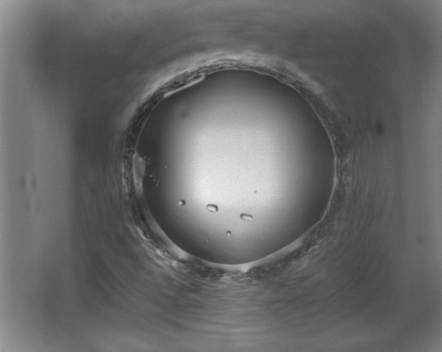 X0000068261496200604281512