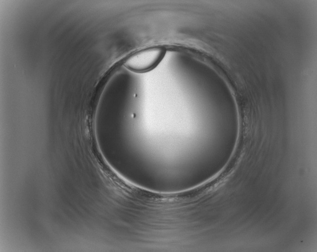 X0000068261497200604281512