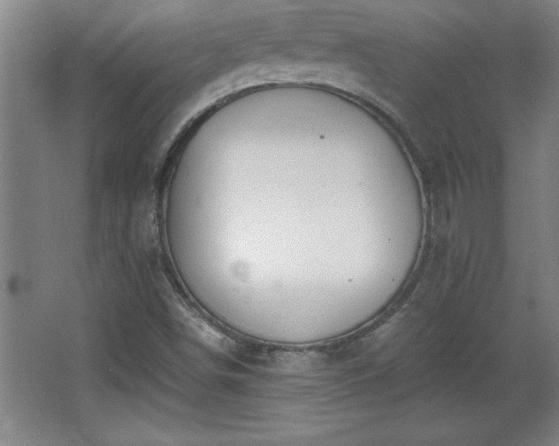 X0000068261498200604281512