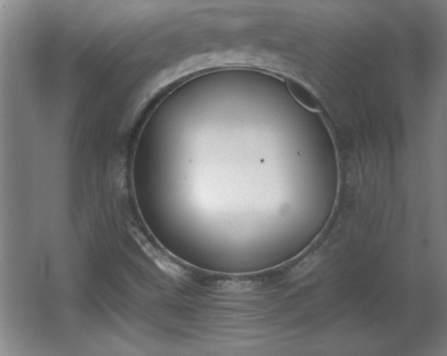 X0000068261499200604281512