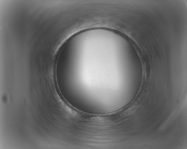 X0000068261500200604281512