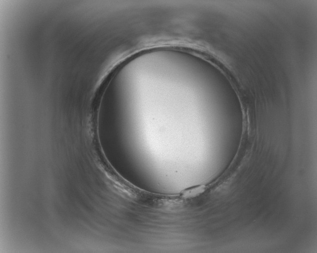 X0000068261501200604281512