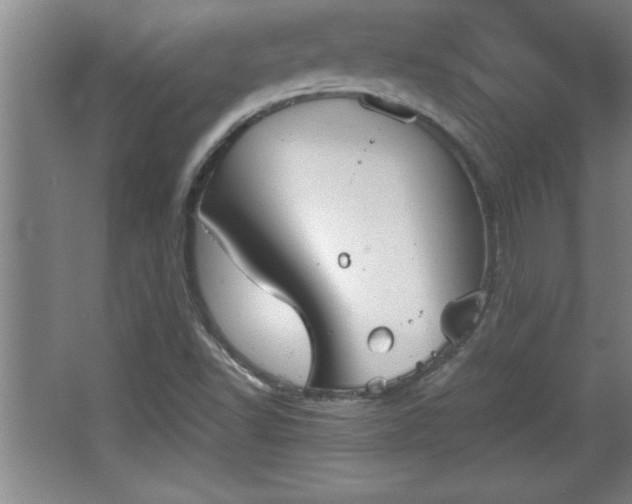 X0000068261502200604281512