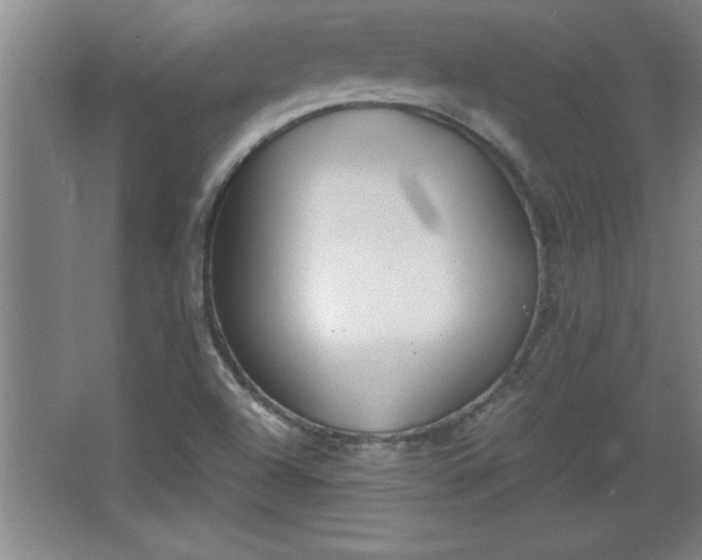 X0000068261504200604281512