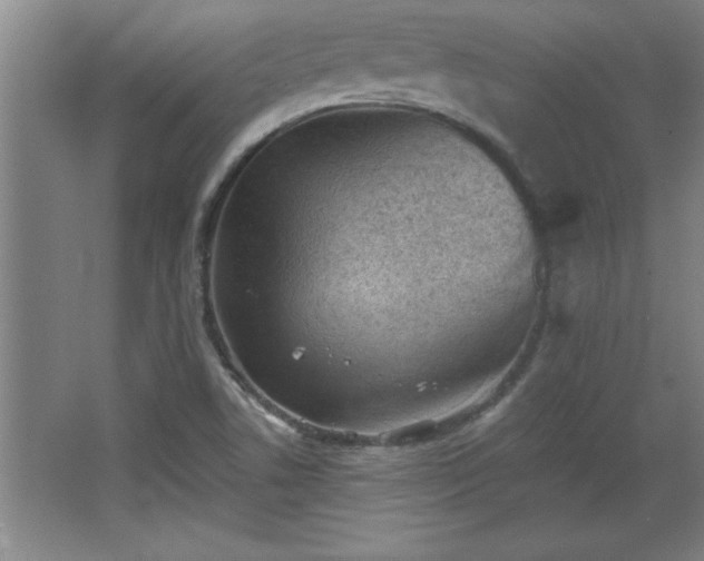 X0000068261506200604281512