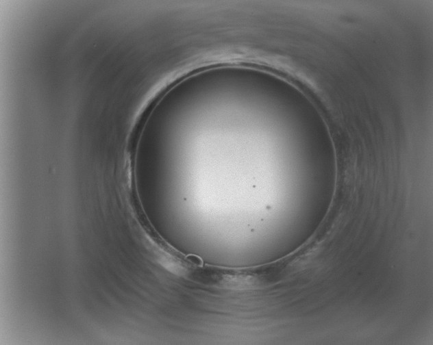 X0000068261509200604281512