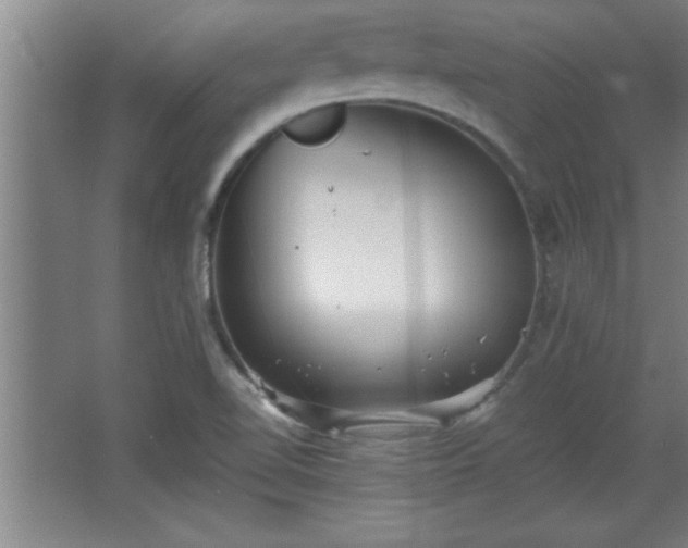 X0000068261510200604281512