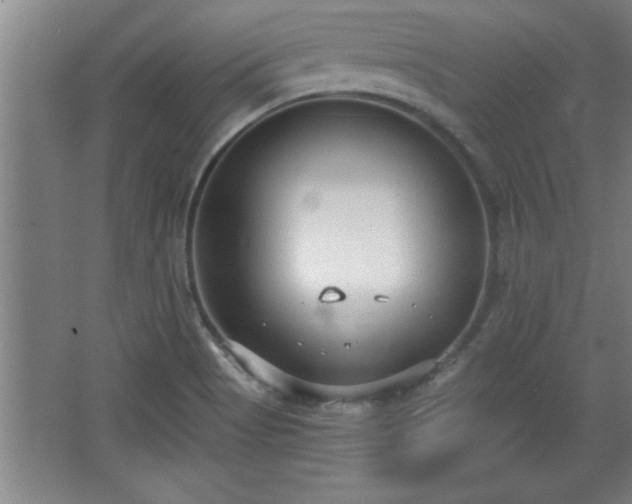 X0000068261513200604281512