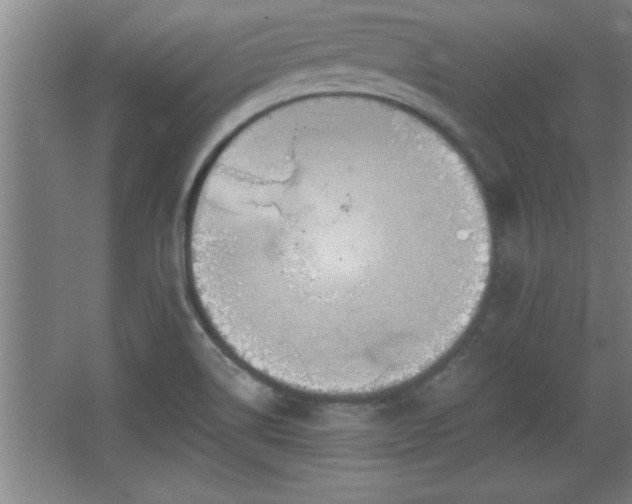 X0000068261514200604281512