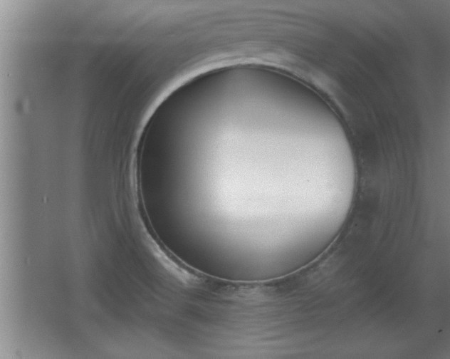 X0000068261516200604281512