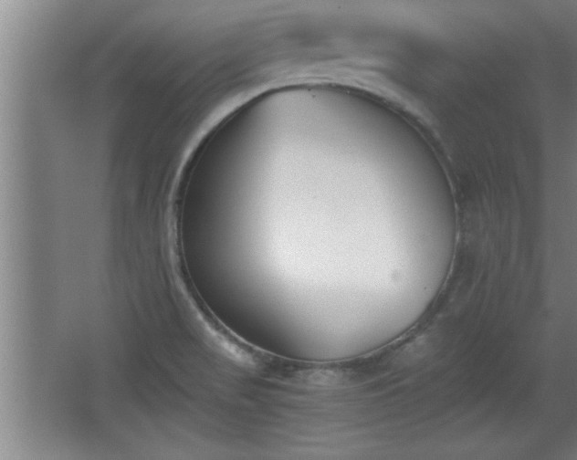 X0000068261517200604281512