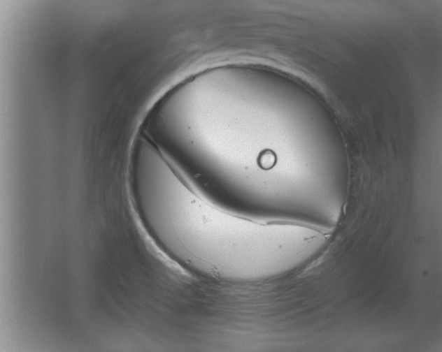 X0000068261518200604281512