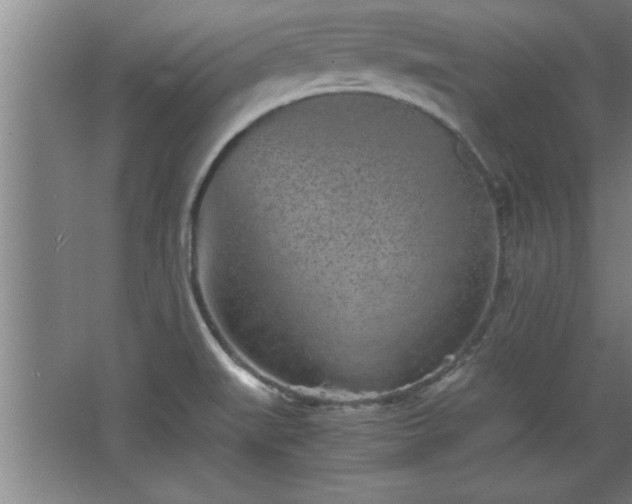 X0000068261519200604281512