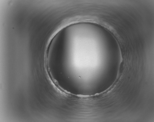 X0000068261520200604281512