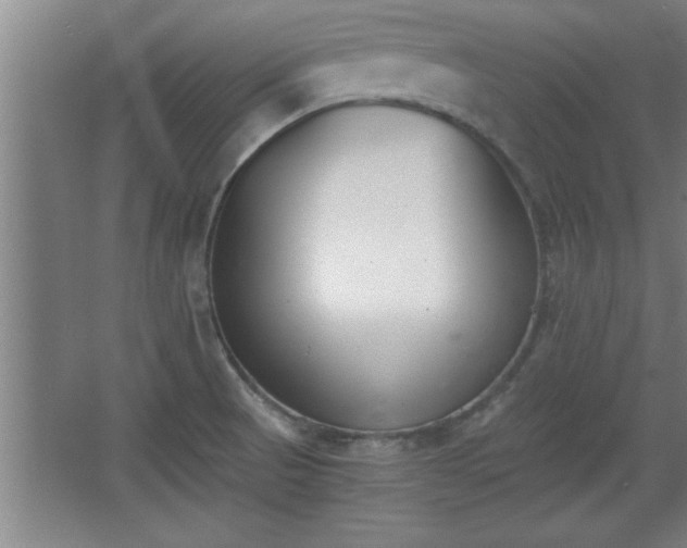 X0000068261521200604281512