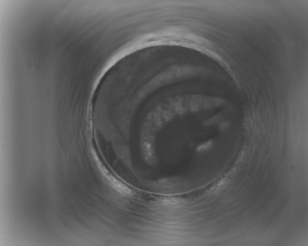 X0000068261522200604281512