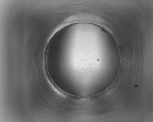 X0000068261523200604281512