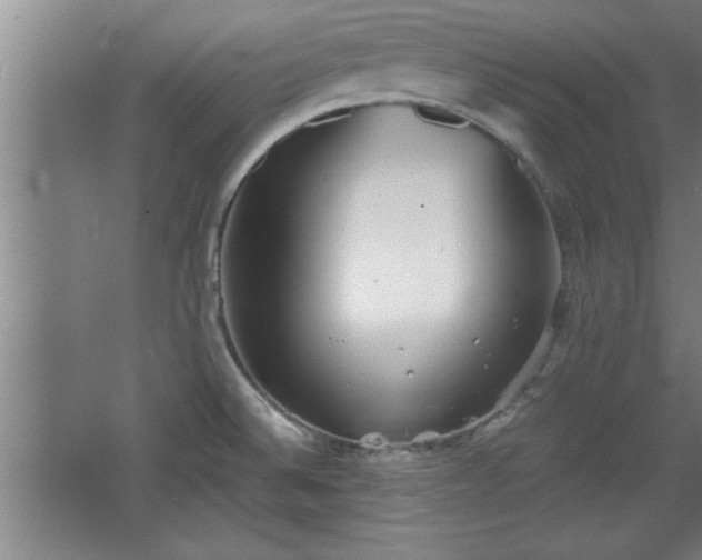 X0000068261524200604281512