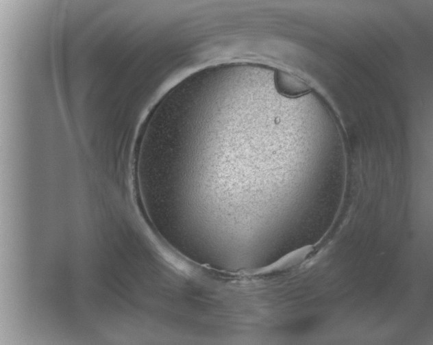 X0000068261525200604281512