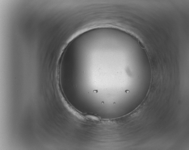 X0000068261526200604281512