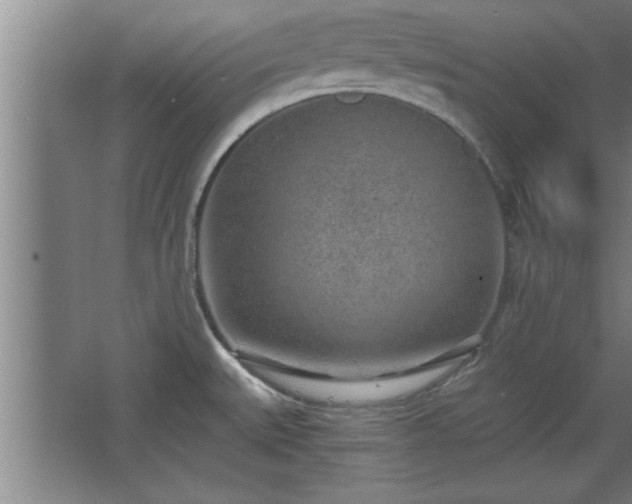 X0000068261527200604281512