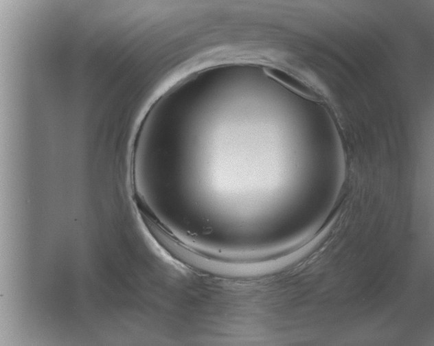 X0000068261528200604281512