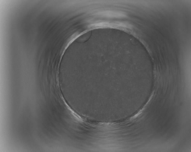 X0000068261529200604281512