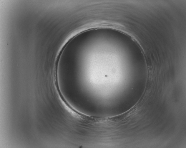 X0000068261531200604281512