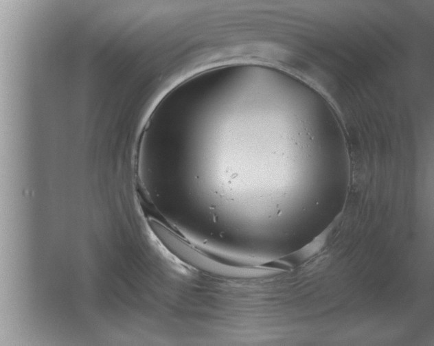 X0000068261532200604281512