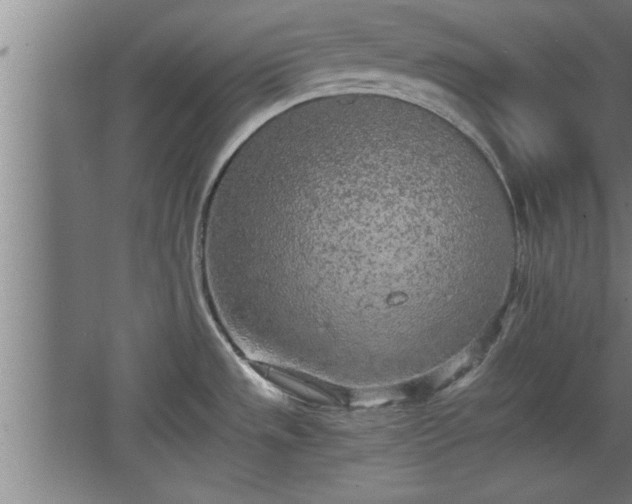 X0000068261533200604281512