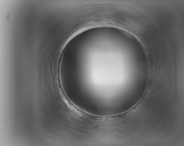 X0000068261534200604281512