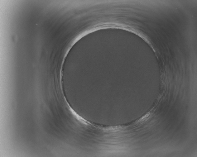 X0000068261535200604281512