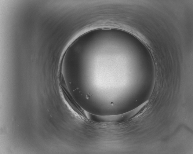 X0000068261536200604281512