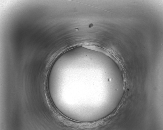 X0000068260001200605051801