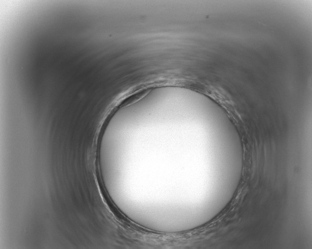 X0000068260003200605051801